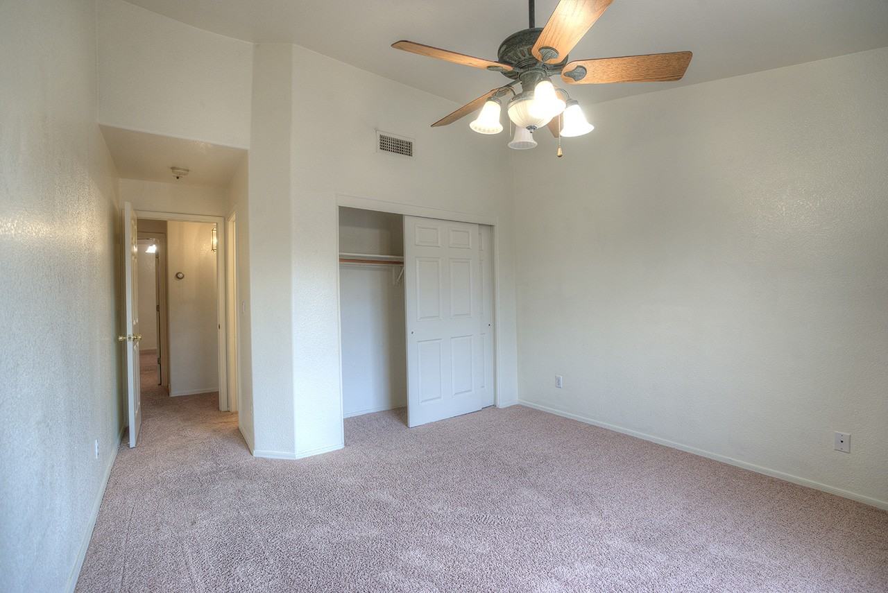 1117 W Mango Dr - Photo 3 of 25