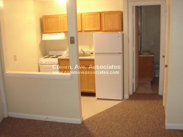 231 Harrison Ave #15 - Photo 3 of 4