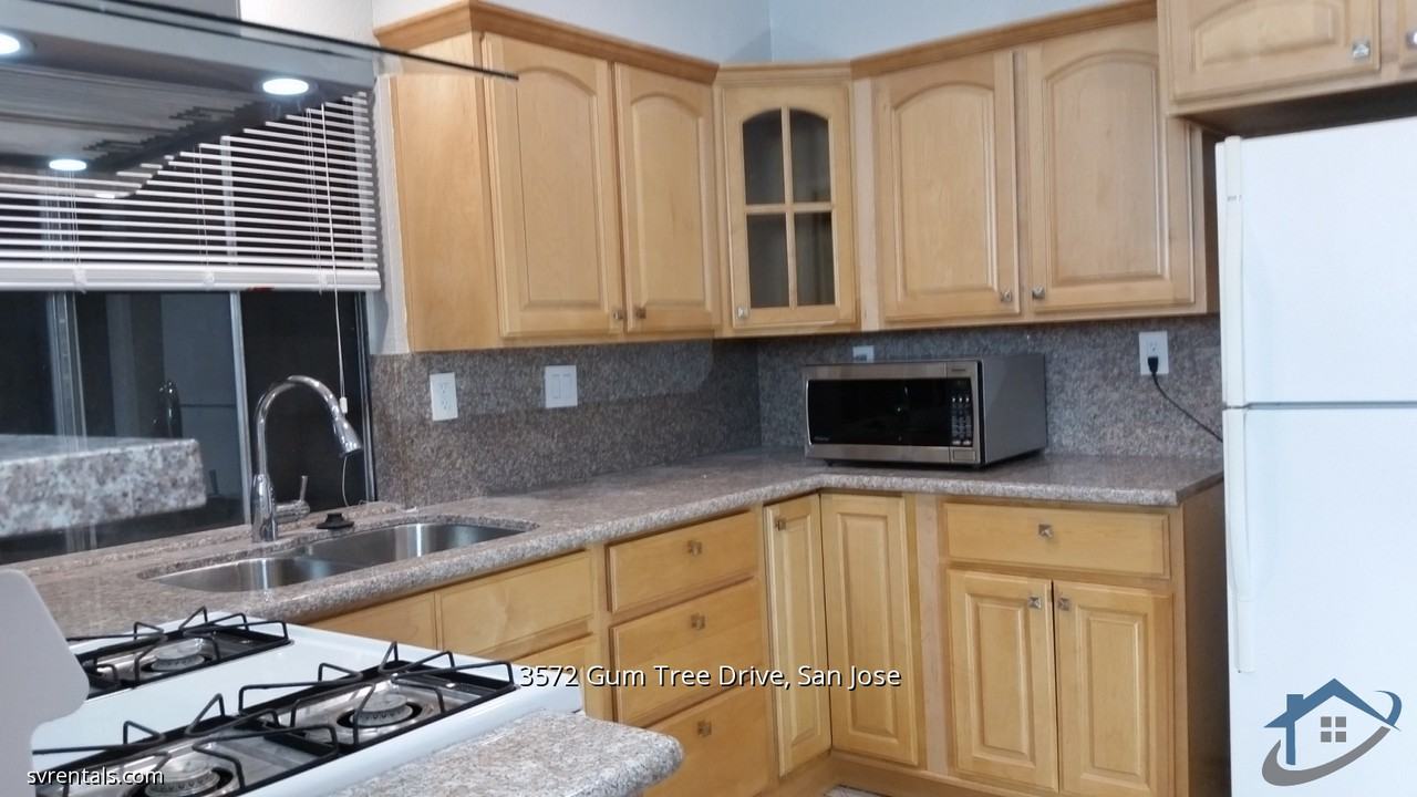 3572 Gum Tree Drive - Photo 3 of 16