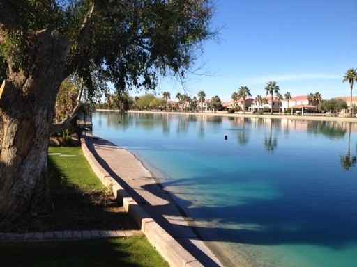 119 N Gilbert Rd #101 - Photo 3 of 31