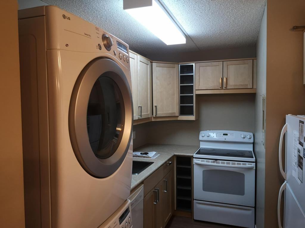 Kennedy - 15 - Photo 3 of 9