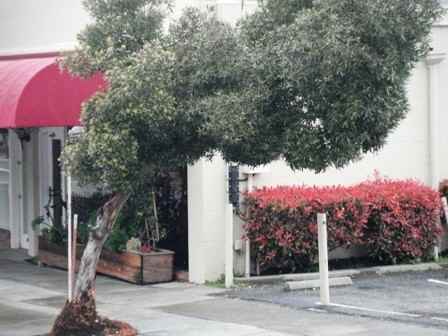 14486 Big Basin Way - Photo 3 of 9