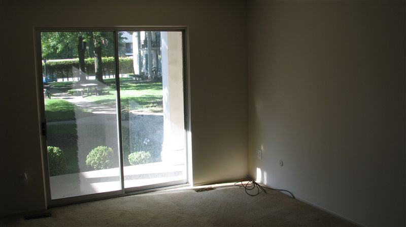 Yorkshire Woods - Photo 2 of 10