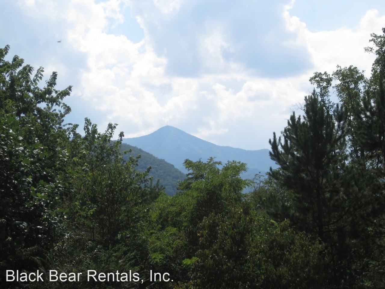 6 S Morgan Branch Rd - Photo 3 of 41