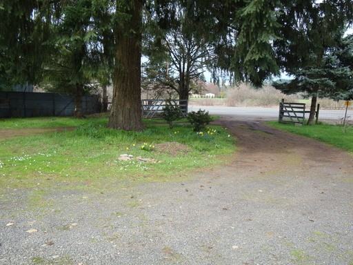 30700 Santiam Hwy - Photo 3 of 10