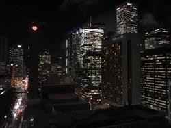 215 Queen Street West #%1908