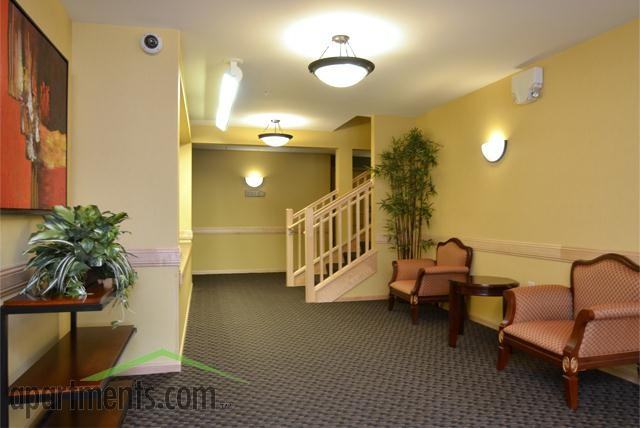 Maple Village Apartments - Photo 2 of 16