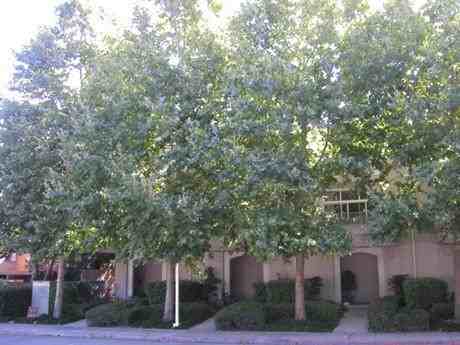 315 Dunsmuir Terrace #6 - Photo 3 of 20