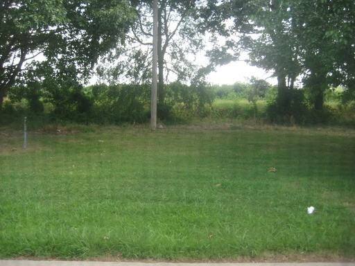 201 Teresa Ln - Photo 3 of 11