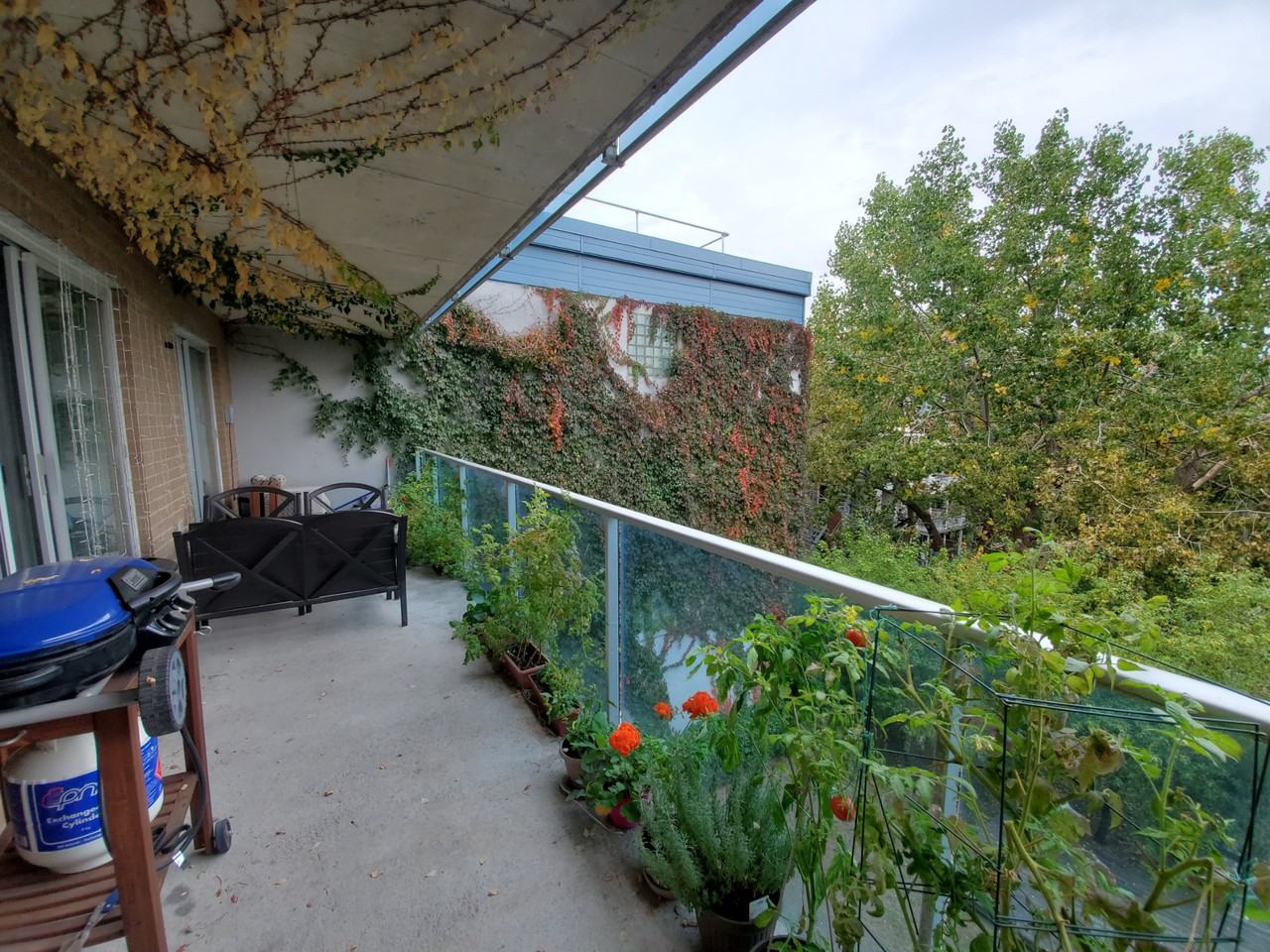 Avenue des Érables - Photo 3 of 34