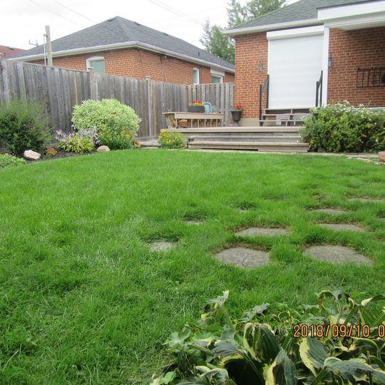 1568 Pharmacy Ave - Photo 2 of 7