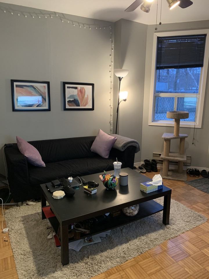 57 Shannon Street - Photo 3 of 14