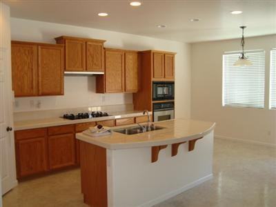 10036 Wild Orchid Way - Photo 3 of 14