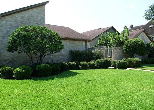 1203 Sugar Creek Blvd - Photo 2 of 24