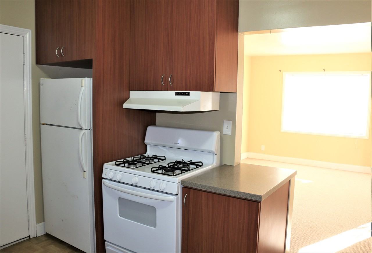 1508 San Mateo St - Photo 3 of 14