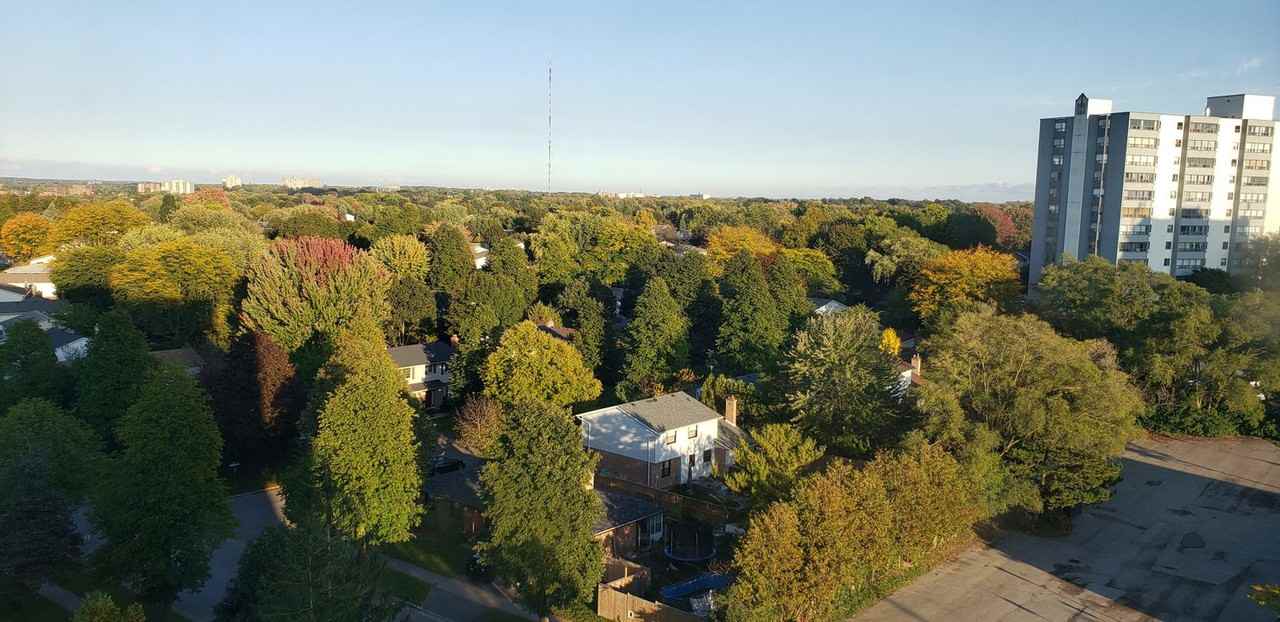 744 Wonderland Road South - Photo 2 of 15