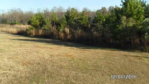 460 Oak Alley Trail - Photo 3 of 25