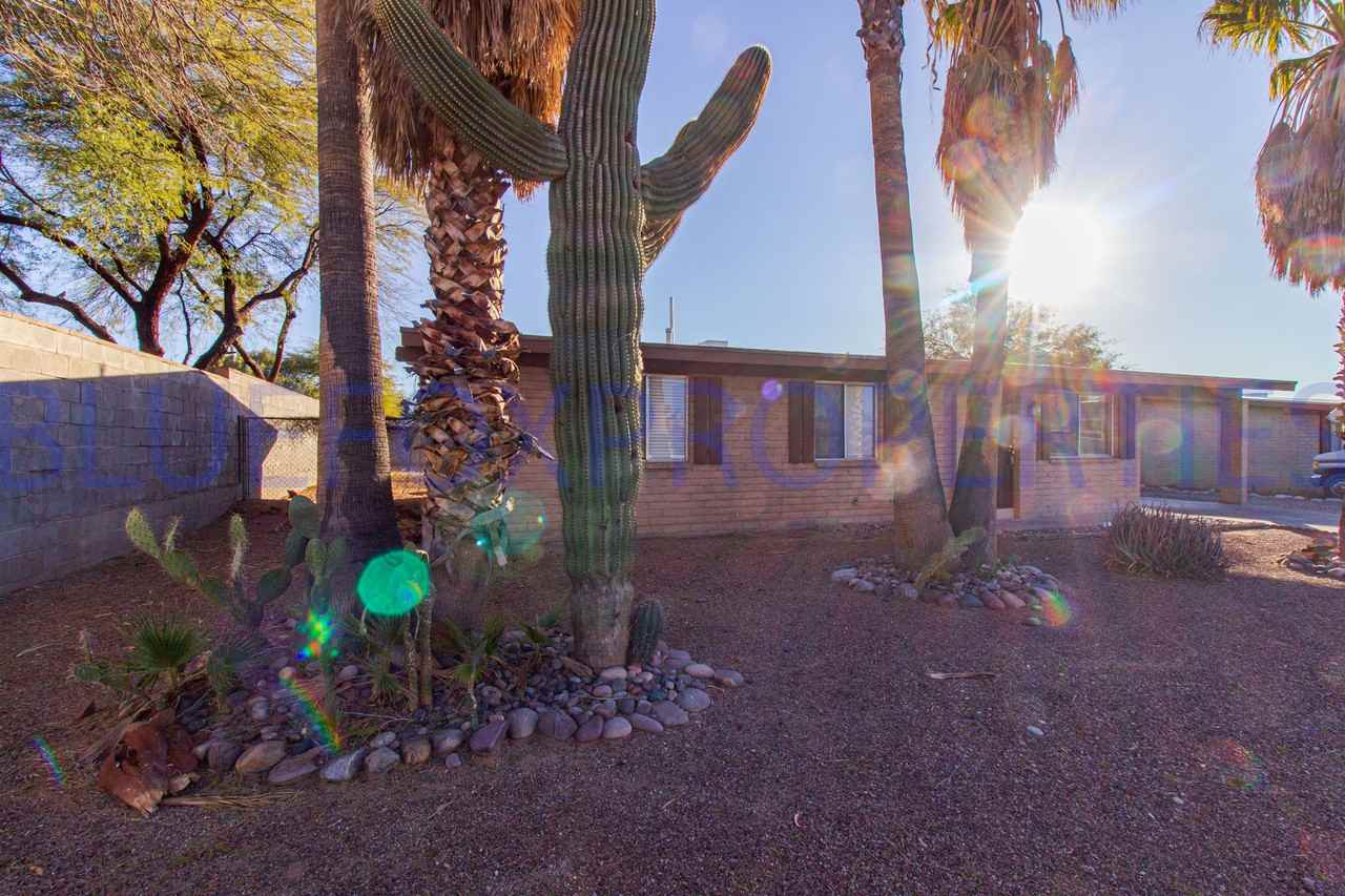 2419 W Sumaya Way - Photo 2 of 24