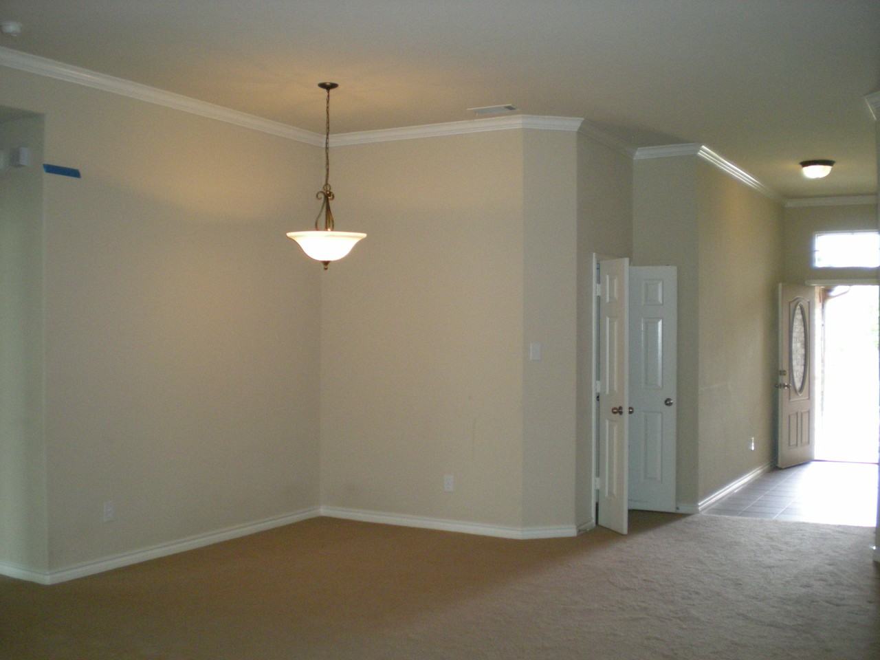 713 Golden Nugget Dr - Photo 3 of 13