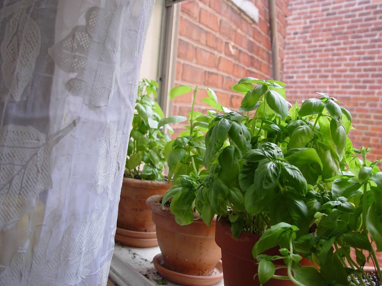 722 Avenue Querbes #2 - Photo 5 of 29