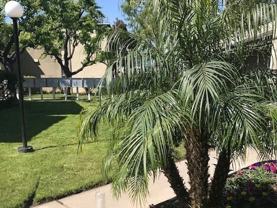 635 635 West Baker St. - Photo 1 of 1