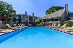 The Shore - Photo 1 of 1