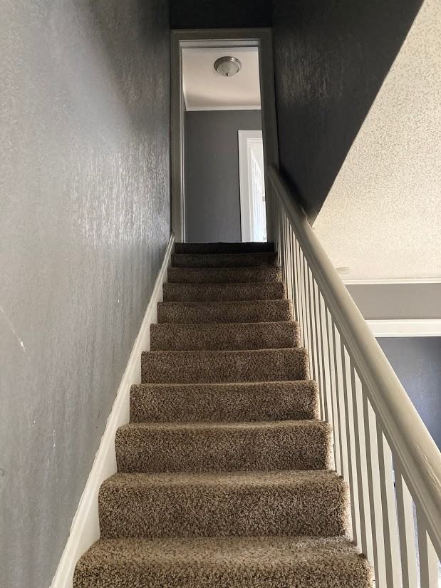 4147 Tracy Ave - Photo 3 of 19