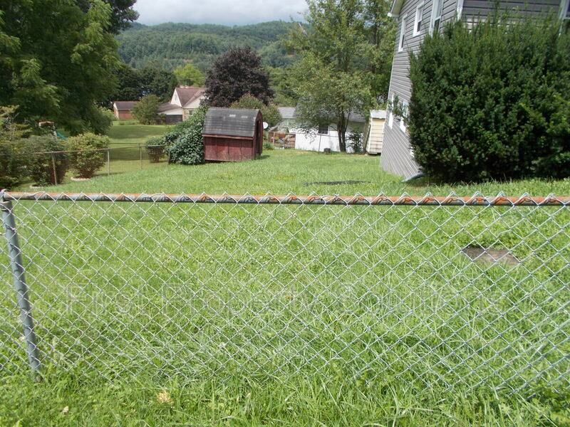 335 Little Vine Dr - Photo 3 of 13