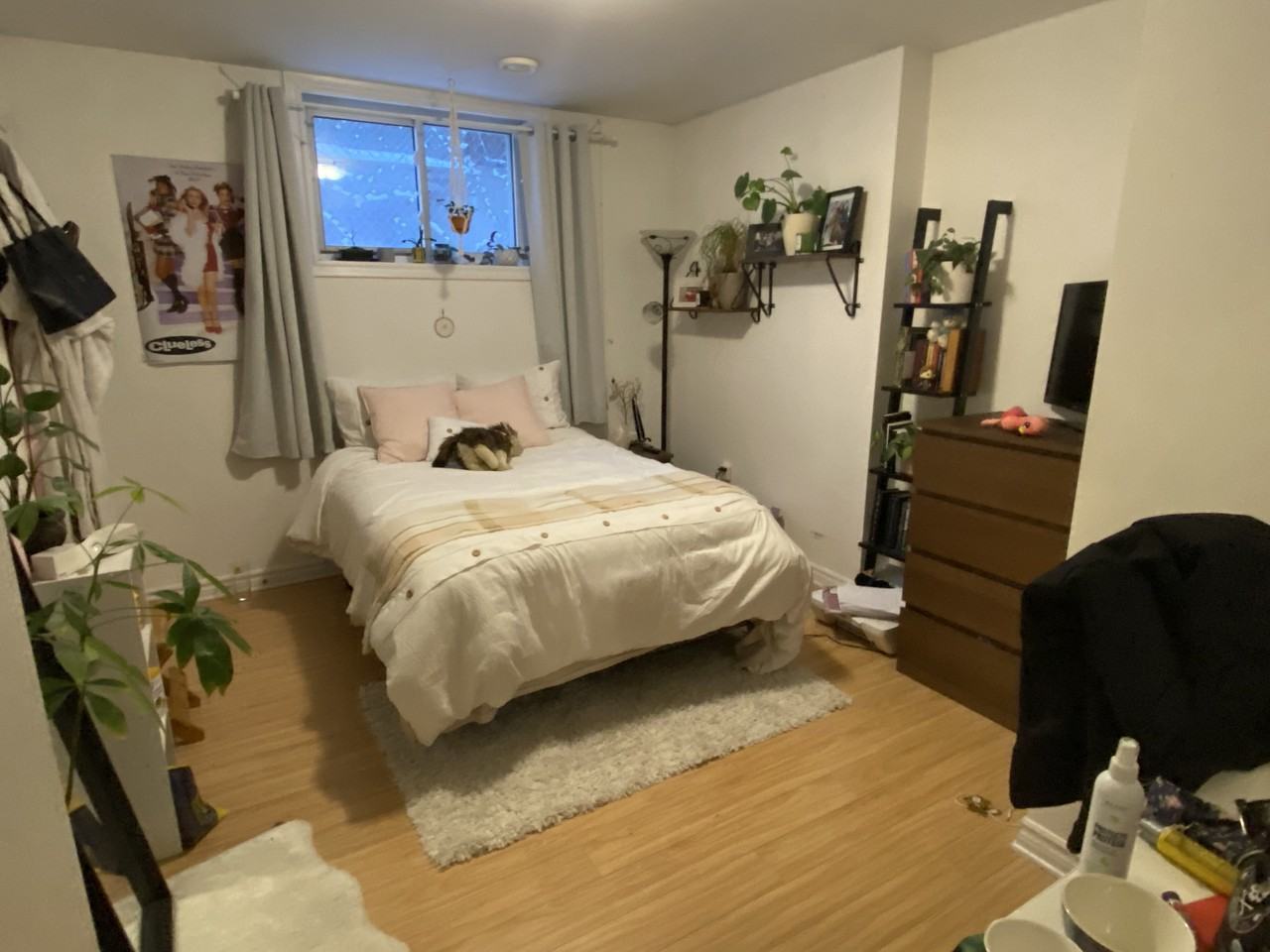 568 Chapel Street #2 - Photo 6 of 15