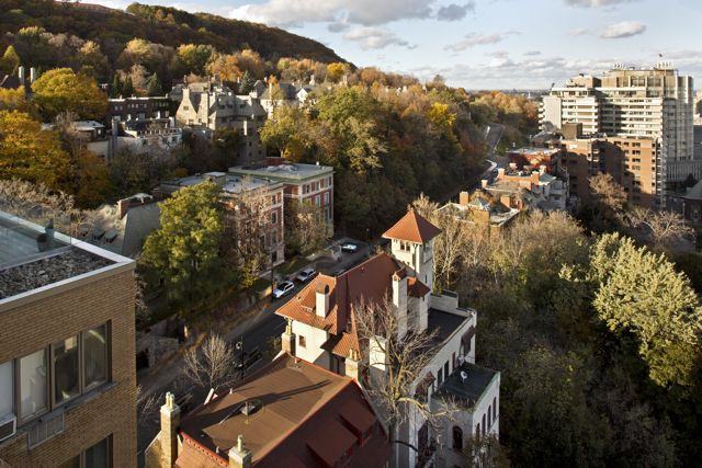 1400 Avenue des Pins Ouest #1306 - Photo 6 of 28