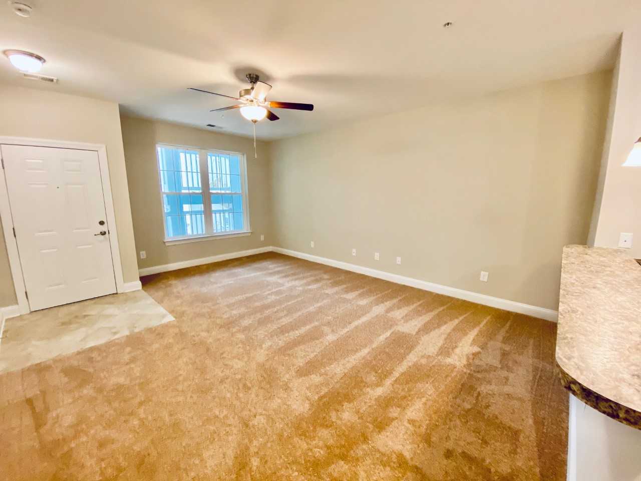 172 Ella Kinley Circle #302 - Photo 2 of 13