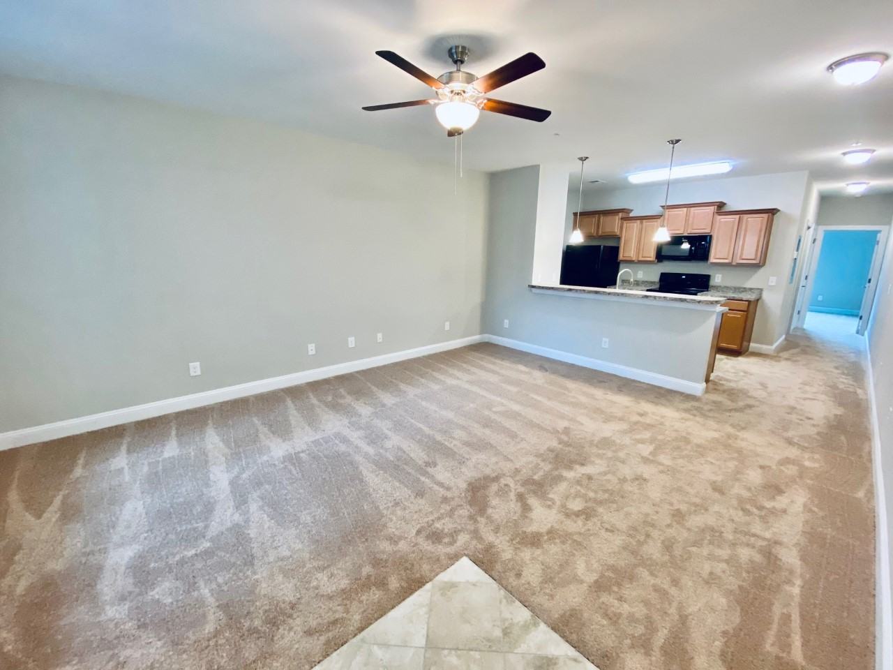 172 Ella Kinley Circle #302 - Photo 3 of 13