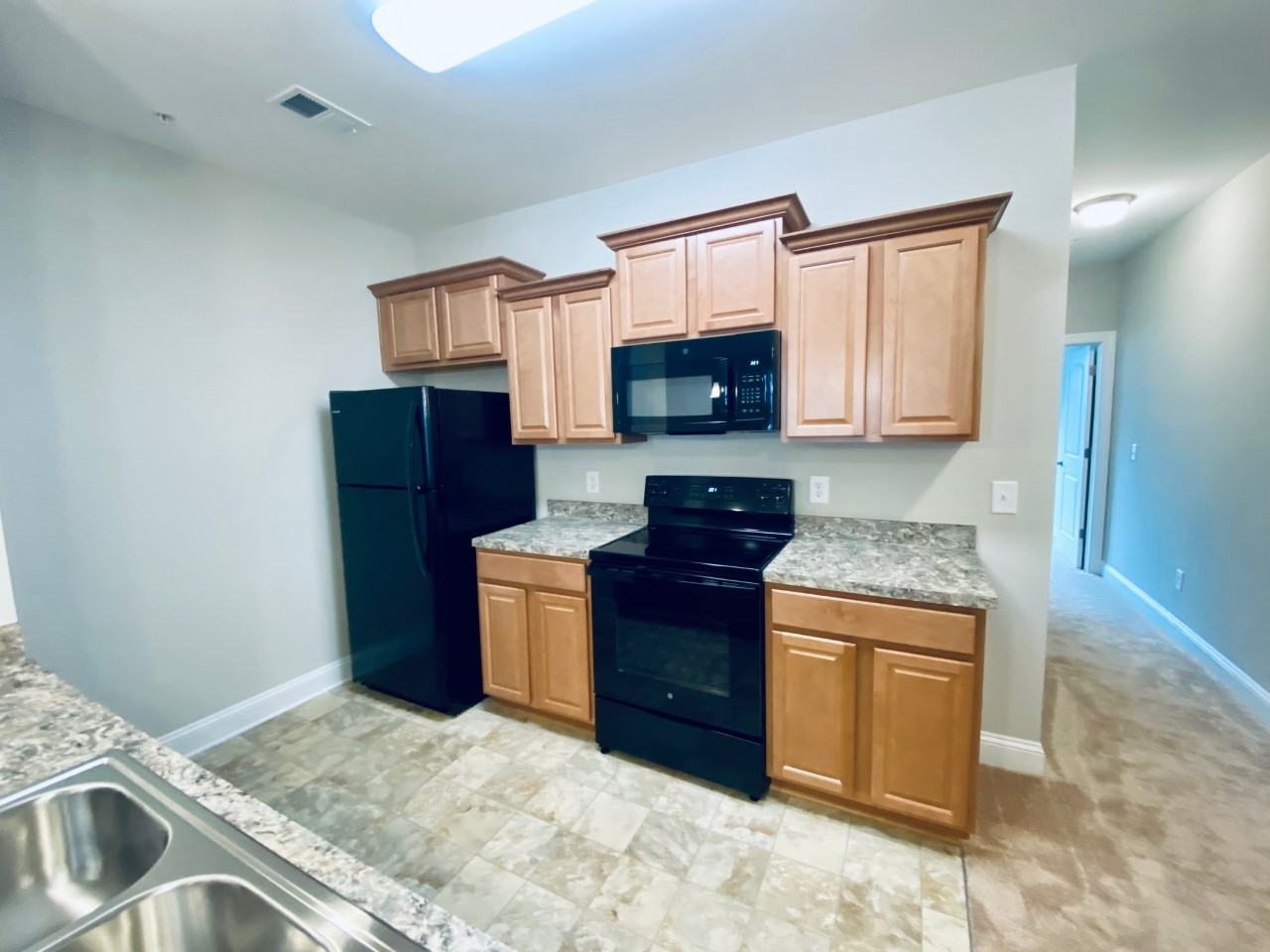 172 Ella Kinley Circle #302 - Photo 6 of 13