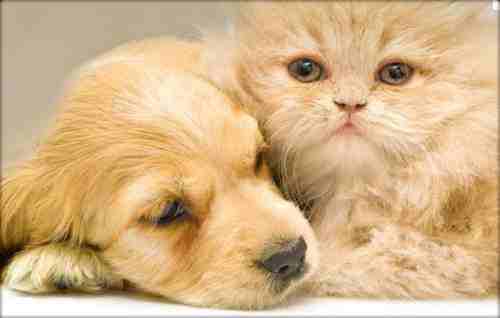 RiverWorks Lofts - Photo 3 of 5