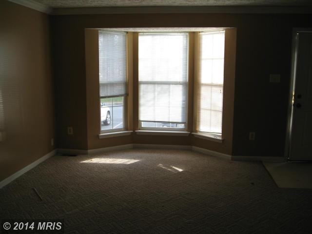 1172 Splashing Brook Dr - Photo 3 of 9