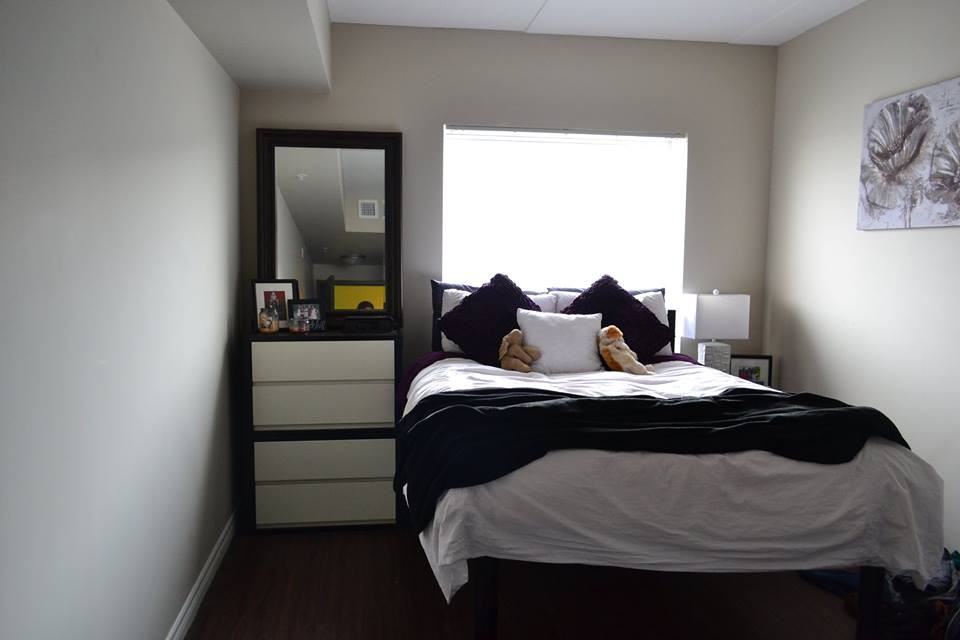 WATERLOO RESIDENCES - 64 MARSHALL - Photo 5 of 16