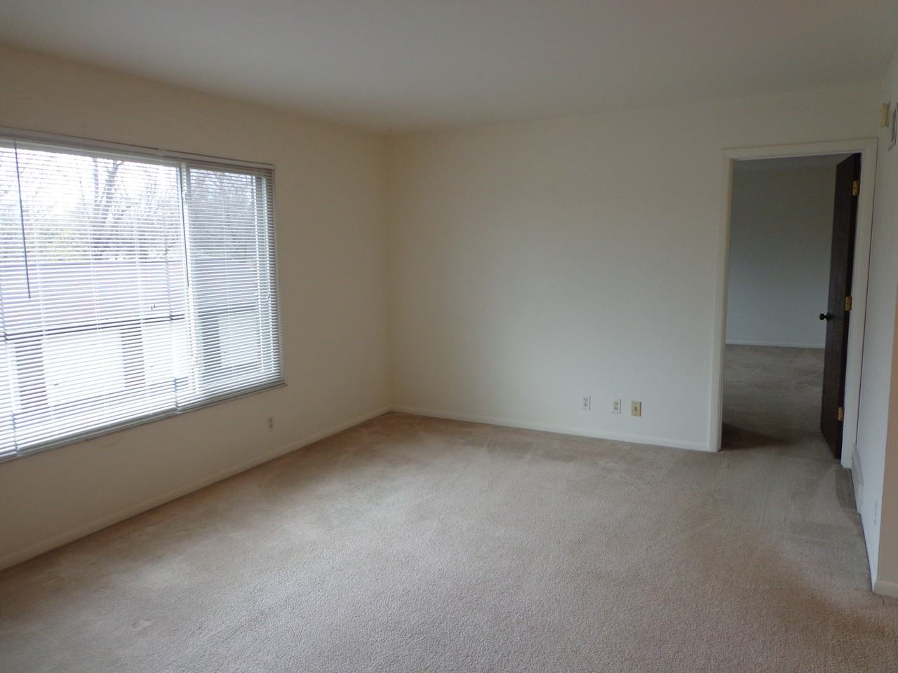 6560 Kingsbridge Drive #5 - Photo 3 of 15