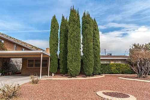 2507 Nashville Ave - Photo 2 of 15