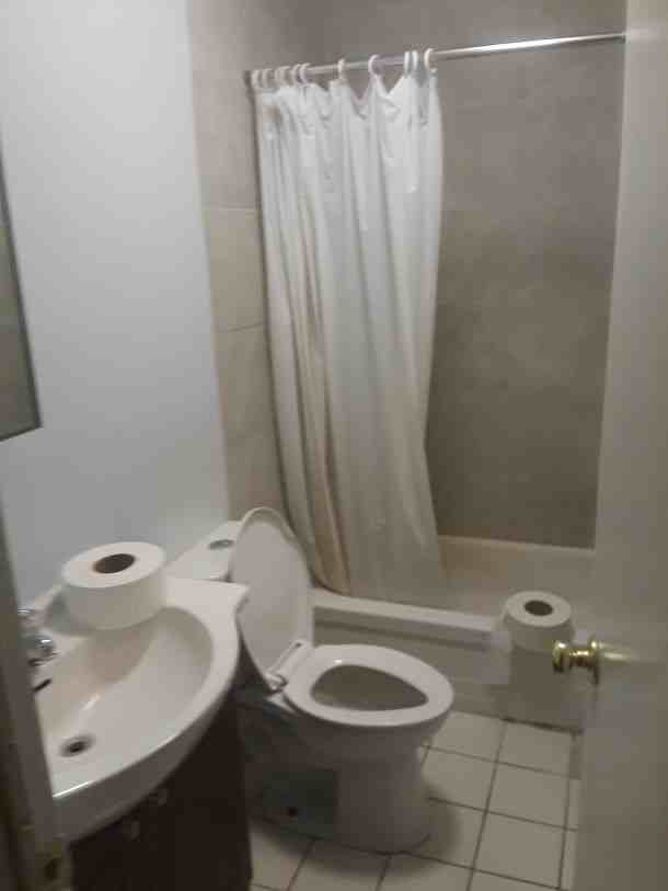 3421 Rue Aylmer #2 - Photo 4 of 8