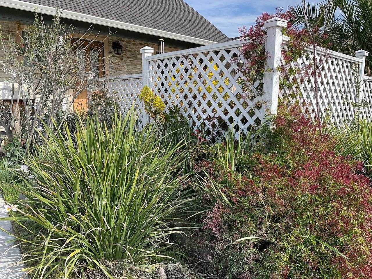 1941 Jackson Court - Photo 3 of 21