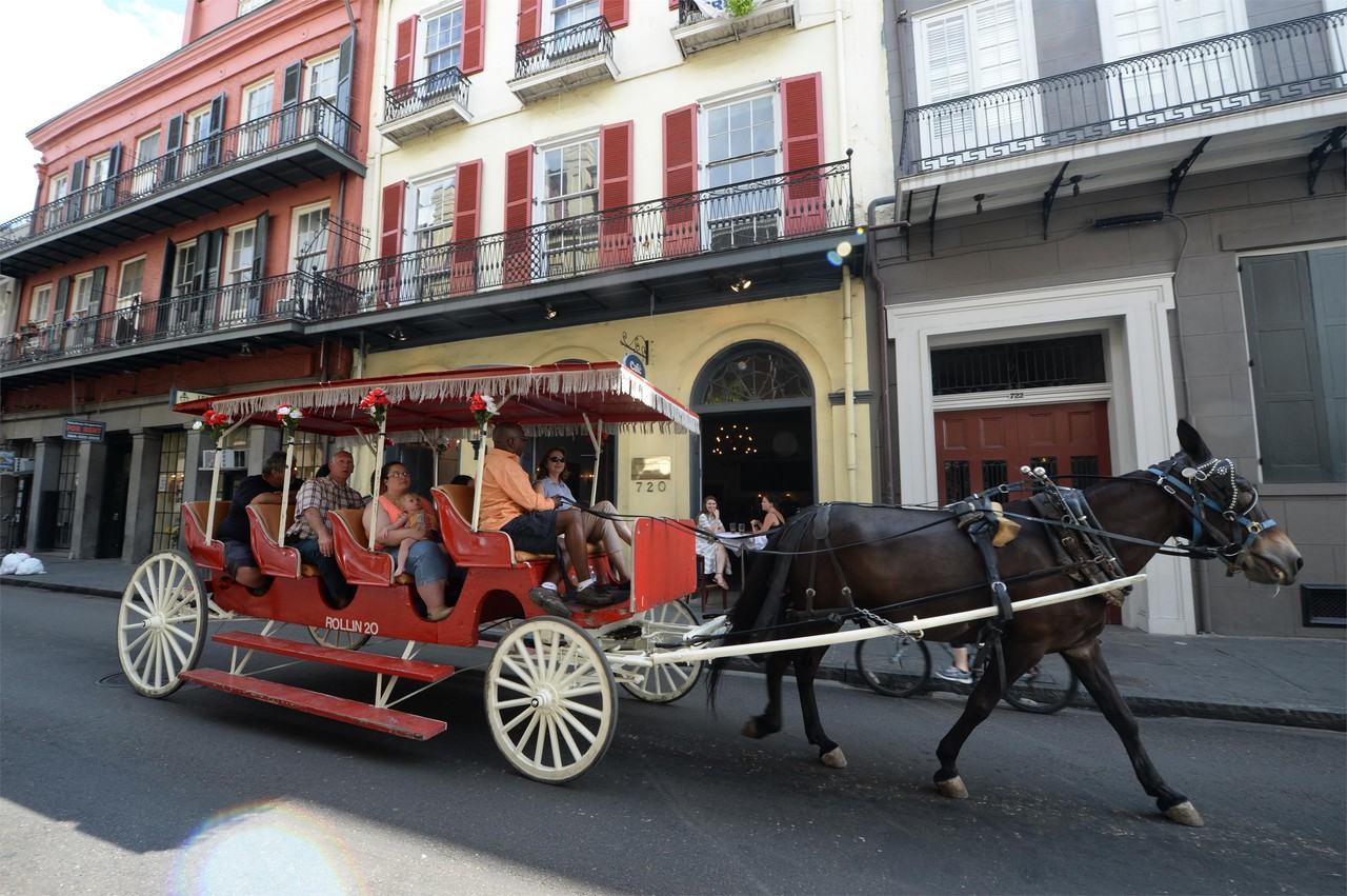 712 Saint Louis St #712-301 - Photo 7 of 9