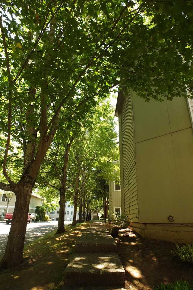 387 Madrona Ave Se #130 - Photo 6 of 7