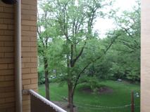 4600 4600 Connecticut Ave NWUnit 616 #616 - Photo 1 of 1