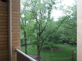 4600 4600 Connecticut Ave NWUnit 616 #616 - Photo 1 of 1