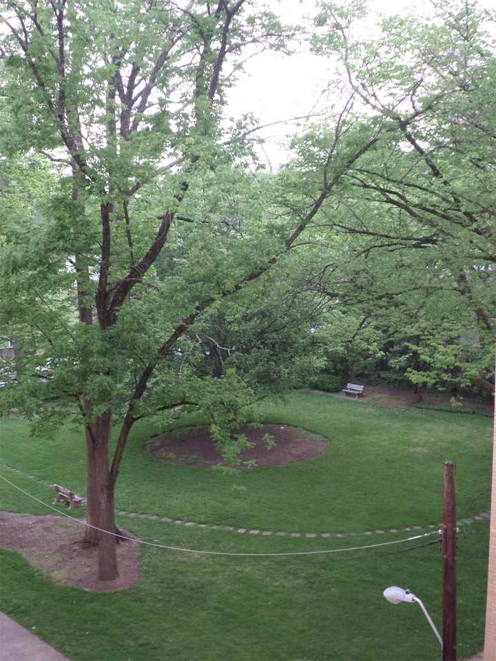 4600 4600 Connecticut Ave NWUnit 616 #616 - Photo 6 of 20