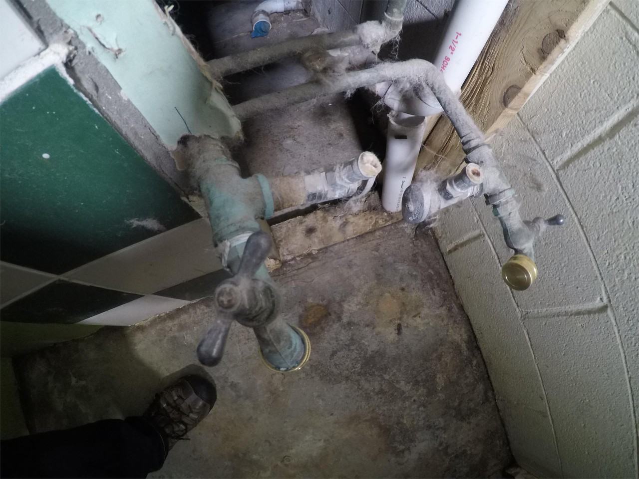 1815 Trawood Drive #G - Photo 7 of 15