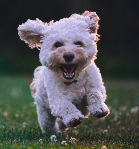 Ravensworth Apartments - Photo 7 of 10