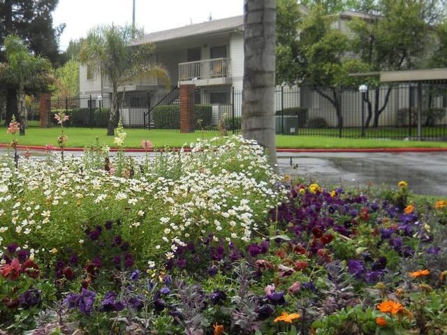 1671 W El Camino Ave - Photo 3 of 25