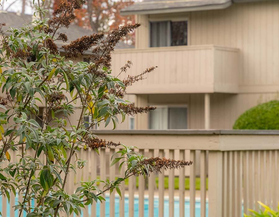 PARK CLUB APARTMENTS - Photo 4 of 15