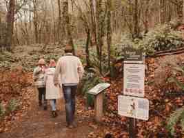 featured image of 9840 Southeast Talbert Street